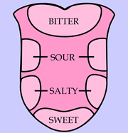 tongue-taste-diagram